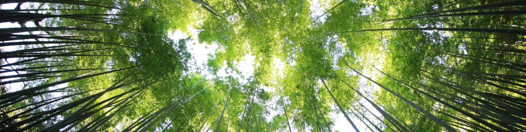 sostenibilita ambientale