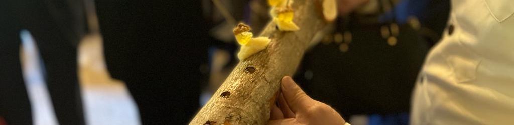 Catering e servizi aggiuntivi